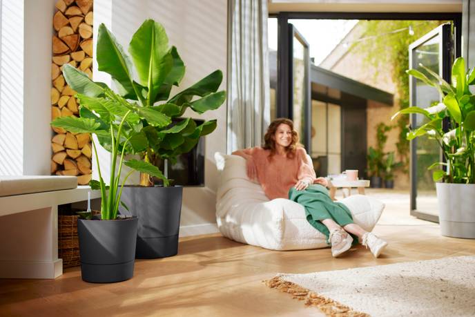 greensense aqua care rond 30cm gris charbon